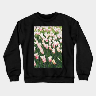 Tulips Crewneck Sweatshirt